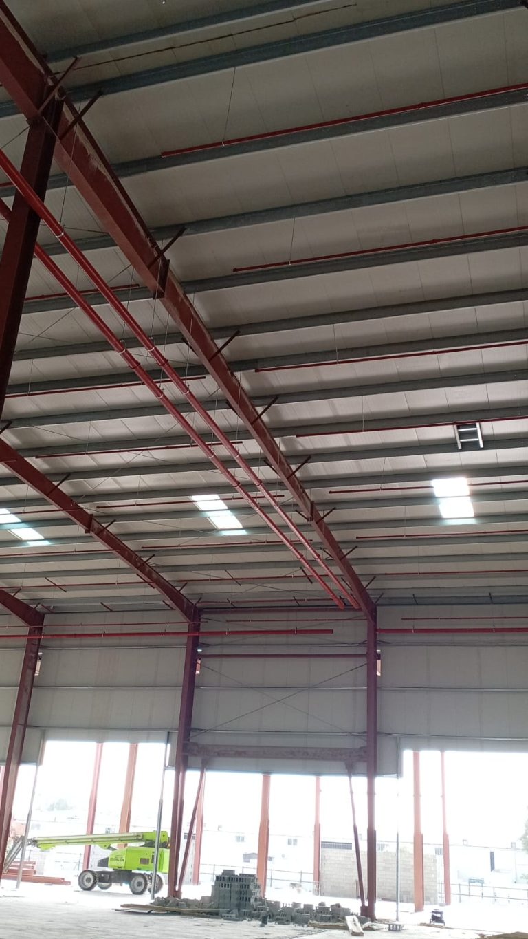 WhatsApp Image 2025-12-28 at 16.14.50 (1)